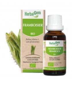 Framboisier (Rubus idaeus) bourgeon BIO, 30 ml